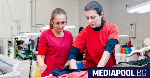 Коя е най добрата торбичка за ежедневието – хартиената найлоновата или