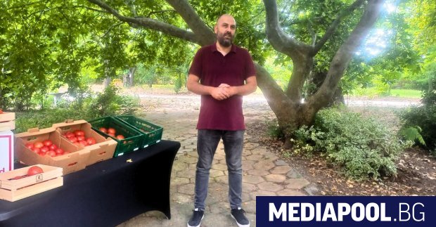До 24 часа – такъв е срокът в който българските