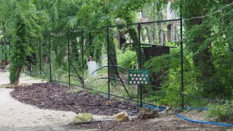ПП забърка бащата на евродепутат от ГЕРБ с Баба Алино и Невзоров