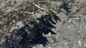 Плажове по Черноморието са замърсени с мазут, текат проверки
