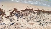Мазутът по морето бил от старо замърсяване, но не може да се каже кой е виновен