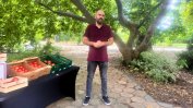 Как българските домати стигат за 24 часа от фермата до магазина
