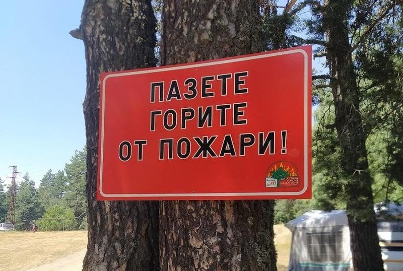 Щетите от горските пожари в България са нараснали над 8 пъти за 15 години