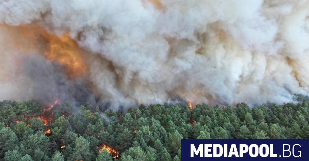 Пожар който бушува в историческата гора Фонтенбло южно от Париж