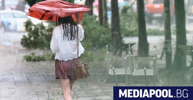 Дърво падна върху майка с две деца в София Инцидентът