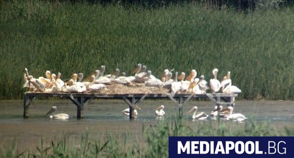 Бедствено положение на територията на Поддържан резерват Сребърна обяви кметът