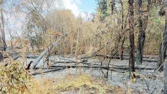 Пожари във "Врана", паркът загива, Столична община нехае