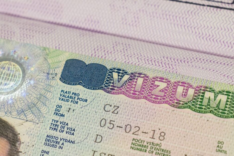Германия смята, че страните от ЕС издават твърде много туристически визи на руснаци