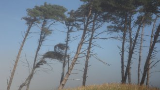 Жълт код за силен вятър в 13 области на страната
